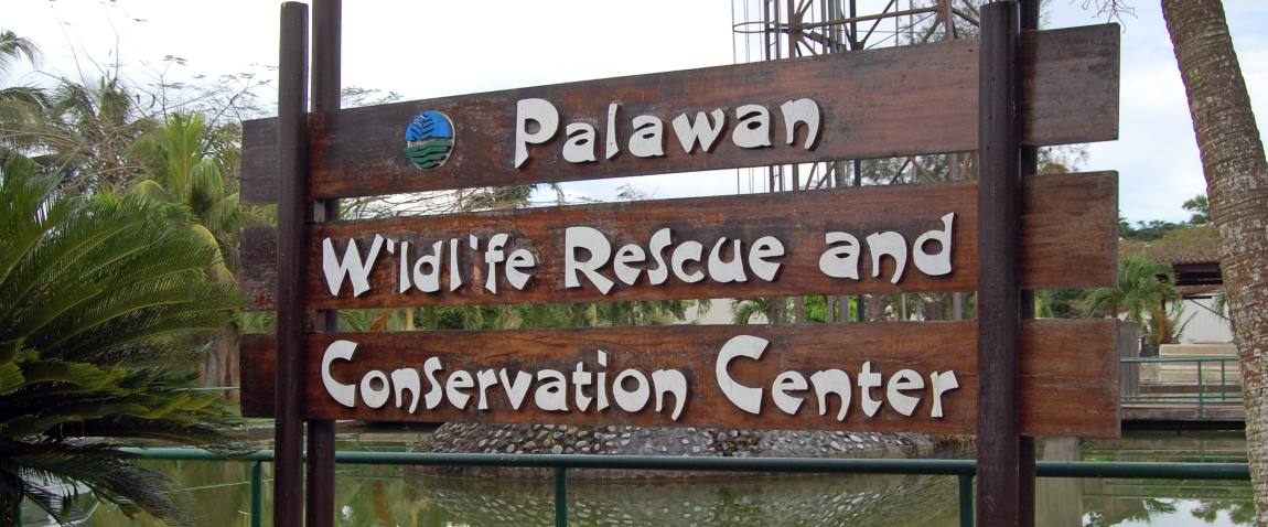 Palawan wildlife rescue and conservation center