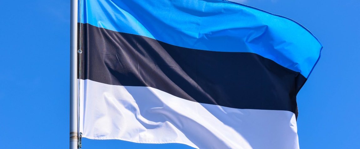 flag of estonia 