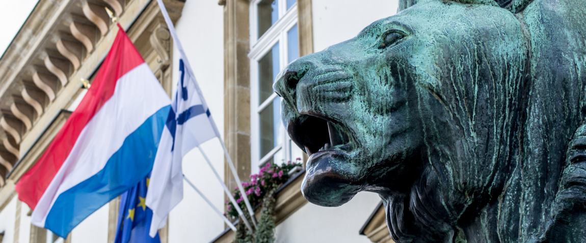 luxembourg flag and lion