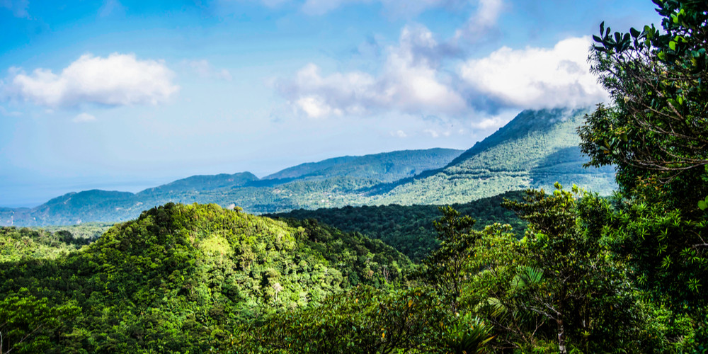 The best hiking trails in Dominica