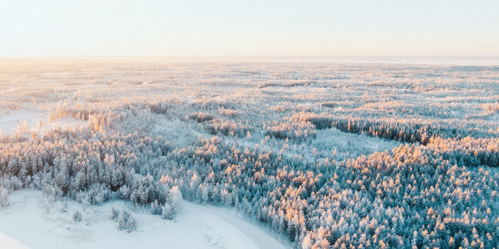 10 Instagrammable places in Rovaniemi