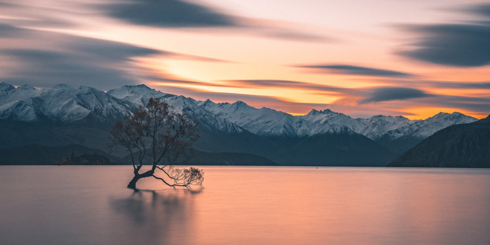 15 tips to travel New Zealand on a budget in 2021