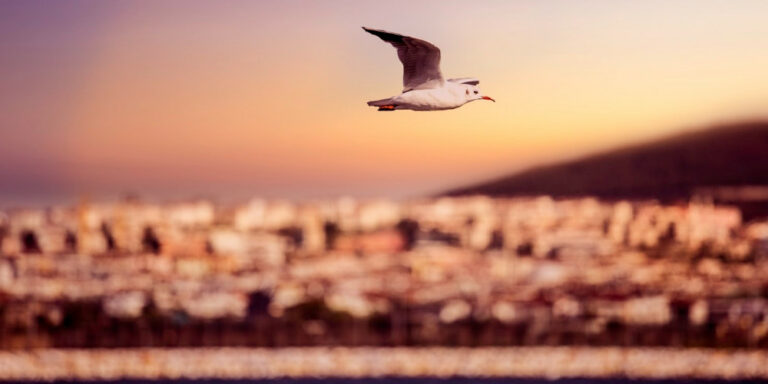 12 Instagrammable places in Izmir