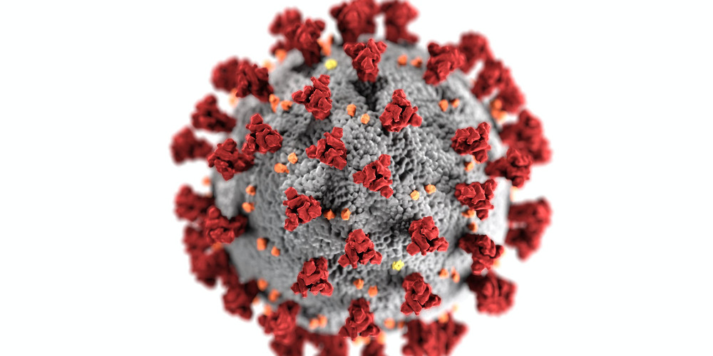 Positive effects of coronavirus on the environment