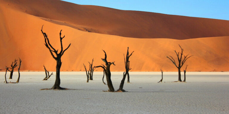 10 things I wish I knew before going to Namibia