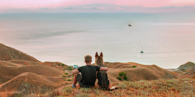 Best Dog Friendly Hiking Trails in the US
