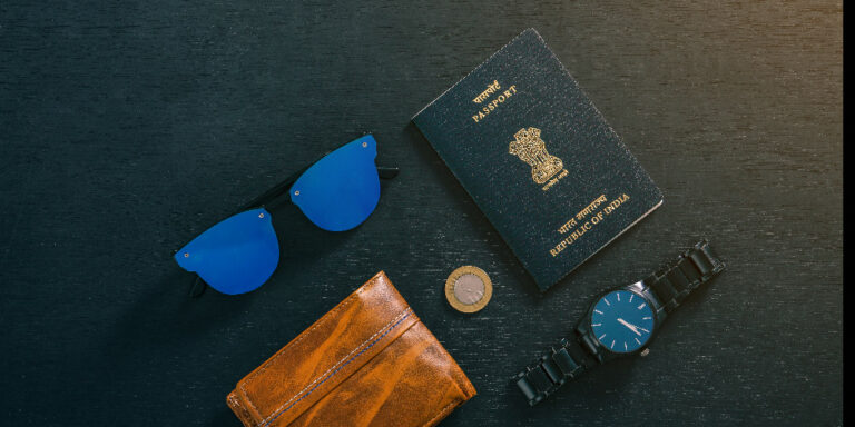 India e-visa vs India tourist visa